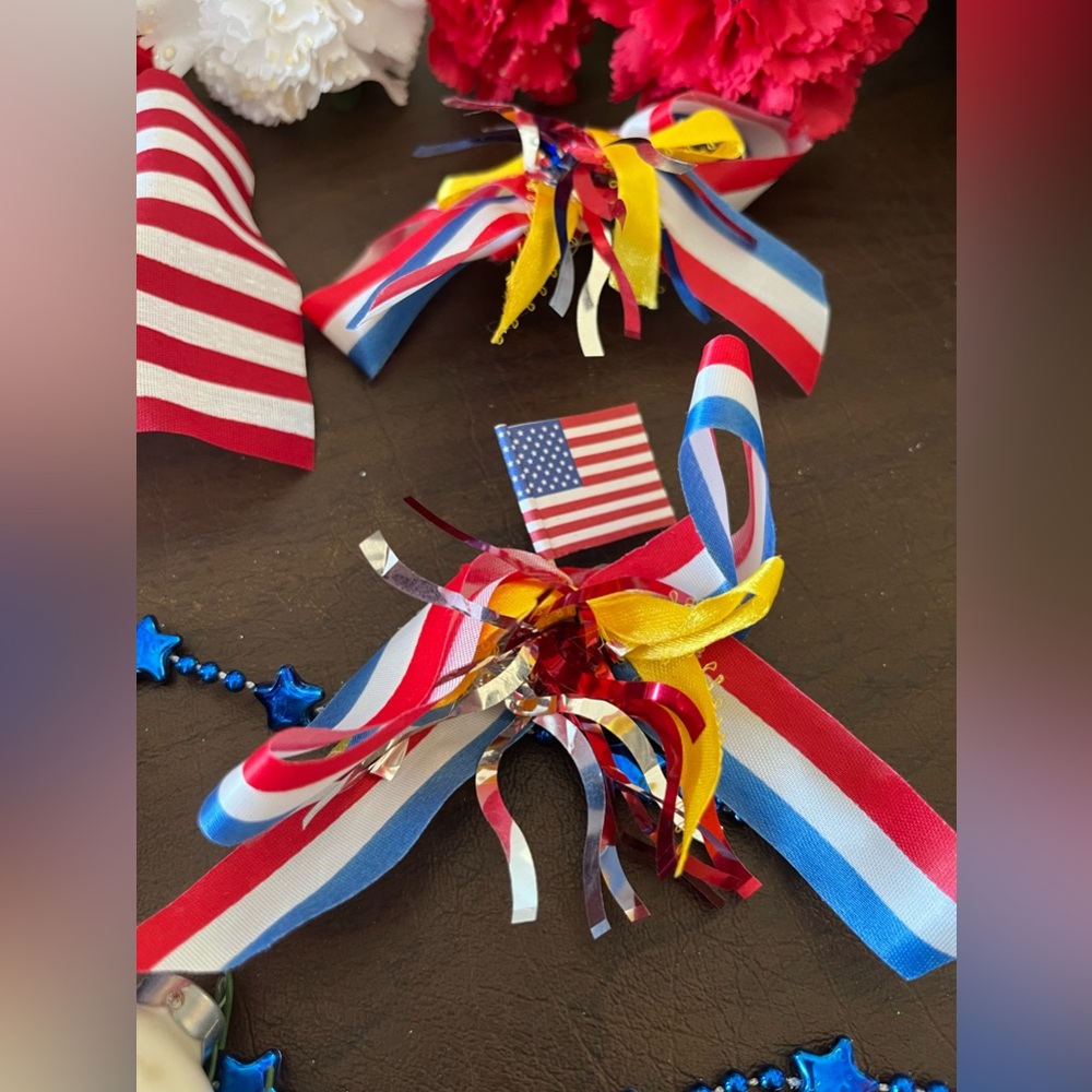 PATRIOTIC DECOR - Picture 4 of 8